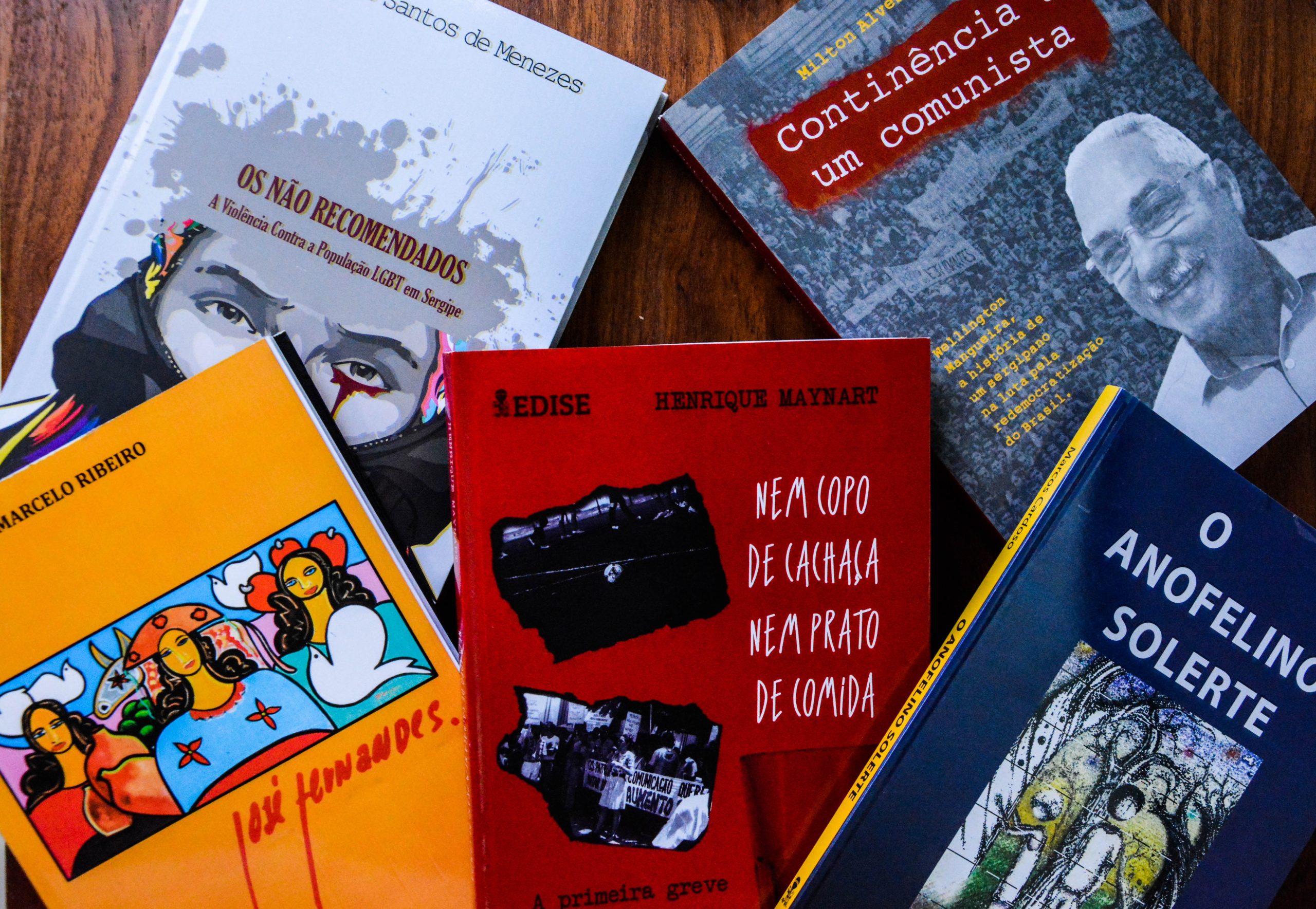 Editora oficial completa 13 anos com 241 publicações - Destaque Noticias